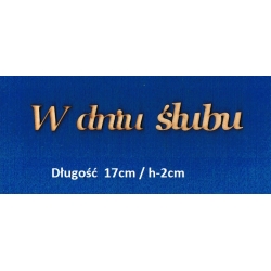 W dniu ślubu napis długość 17cm / h-2cm / cz;georgia